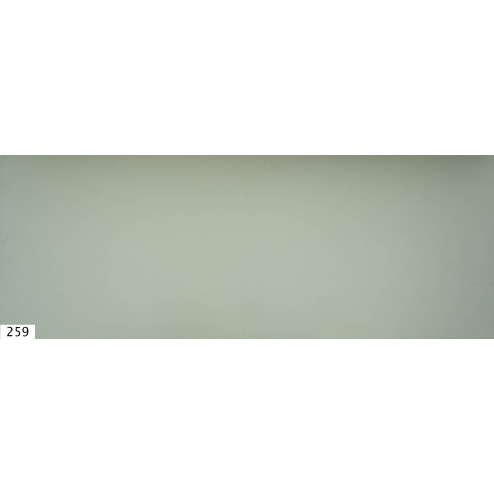 D259 PS30 ASH GREEN