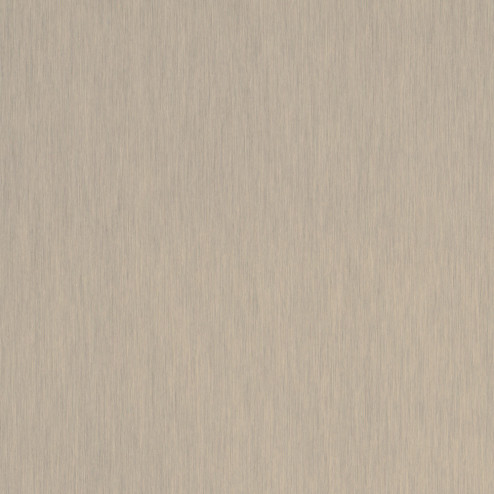 EVOGLOSS P265 HLINÍK BRONZ