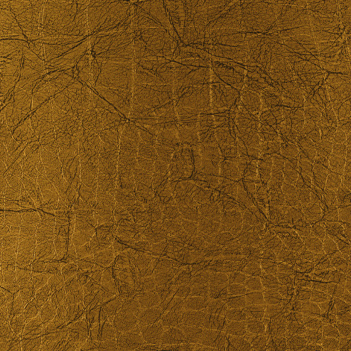 EVOGLOSS CROCODILE GOLD P216 DOPREDAJ!