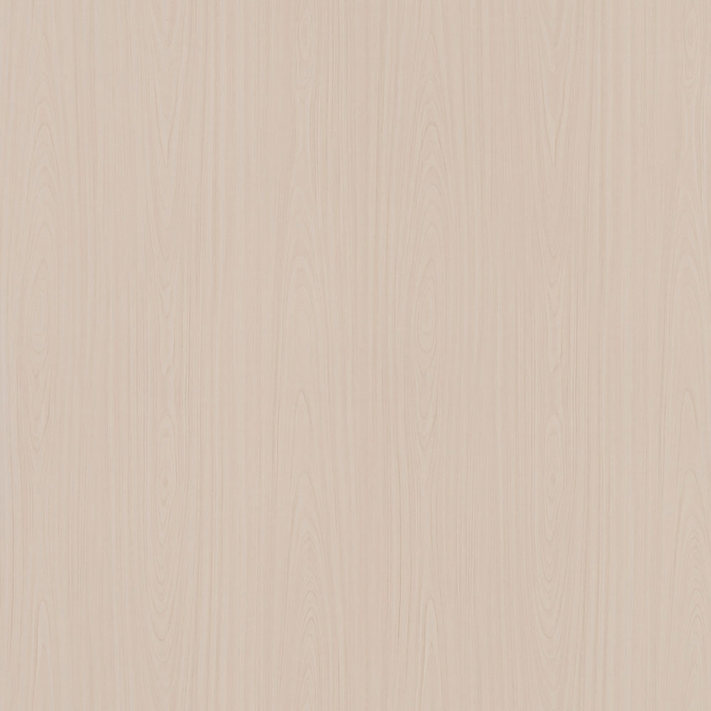 EVOGLOSS WHITE MAPLE P305 DOPREDAJ!